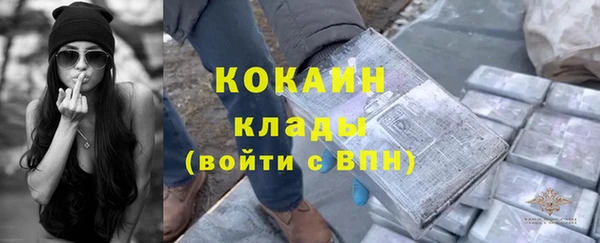 гашик Белоозёрский