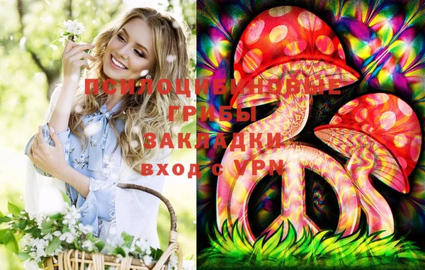 гашик Белоозёрский