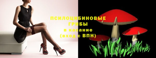 гашик Белоозёрский