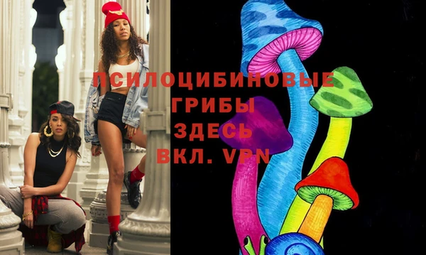 гашик Белоозёрский